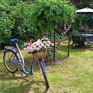 Retro & Garden Albergue